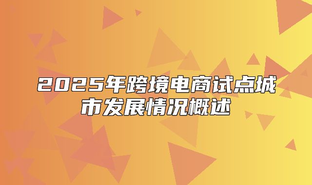 2025年跨境电商试点城市发展情况概述