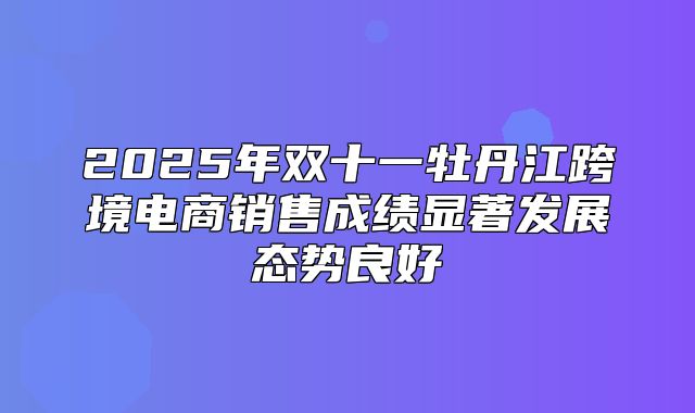 2025年双十一牡丹江跨境电商销售成绩显著发展态势良好