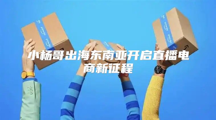 小杨哥出海东南亚开启直播电商新征程