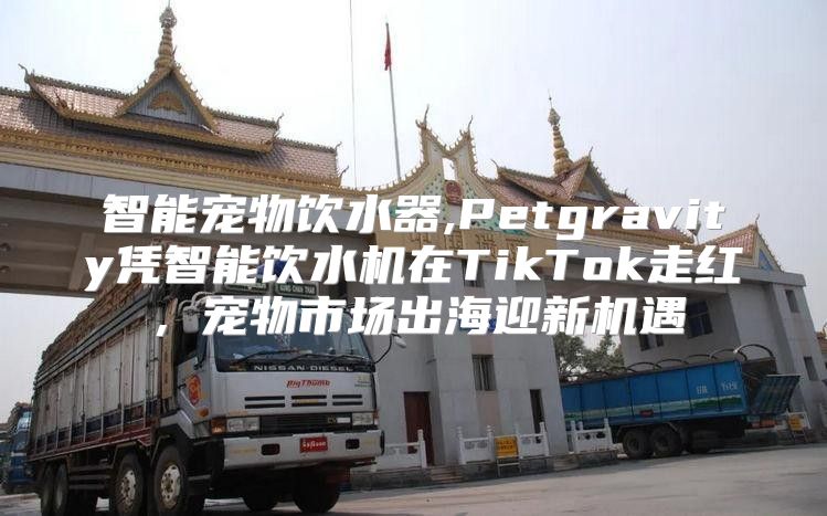智能宠物饮水器,Petgravity凭智能饮水机在TikTok走红，宠物市场出海迎新机遇
