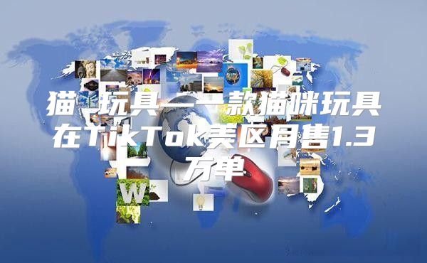 猫 玩具—一款猫咪玩具在TikTok美区月售1.3万单