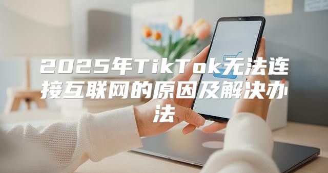 2025年TikTok无法连接互联网的原因及解决办法