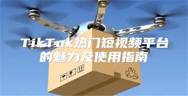 TikTok热门短视频平台的魅力及使用指南
