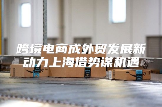 跨境电商成外贸发展新动力上海借势谋机遇