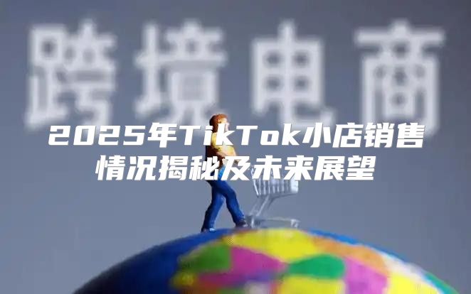 2025年TikTok小店销售情况揭秘及未来展望
