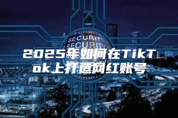 2025年如何在TikTok上打造网红账号