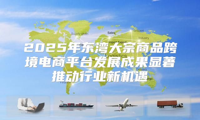 2025年东湾大宗商品跨境电商平台发展成果显著推动行业新机遇