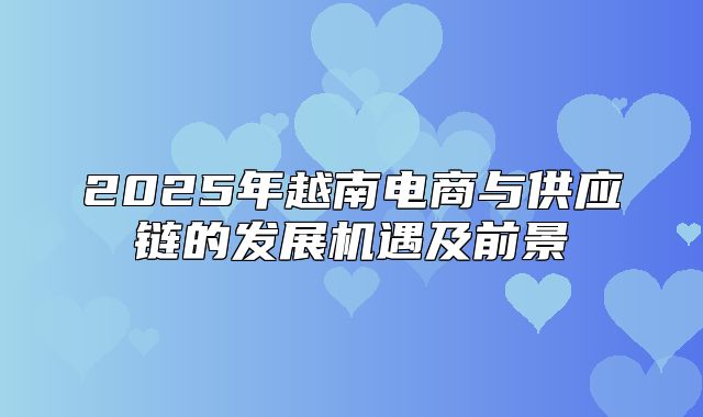 2025年越南电商与供应链的发展机遇及前景