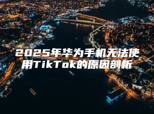 2025年华为手机无法使用TikTok的原因剖析