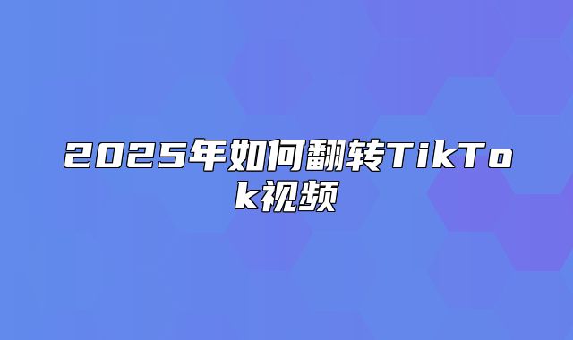 2025年如何翻转TikTok视频