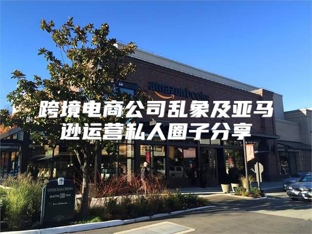 跨境电商公司乱象及亚马逊运营私人圈子分享