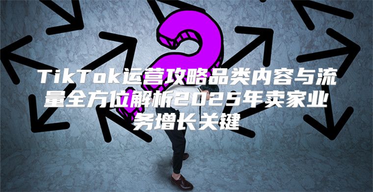 TikTok运营攻略品类内容与流量全方位解析2025年卖家业务增长关键
