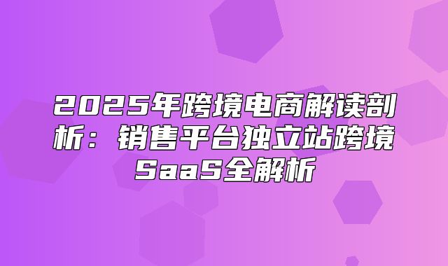 2025年跨境电商解读剖析：销售平台独立站跨境SaaS全解析