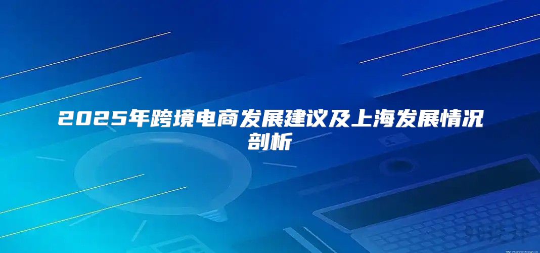 2025年跨境电商发展建议及上海发展情况剖析