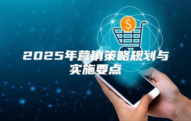 2025年营销策略规划与实施要点