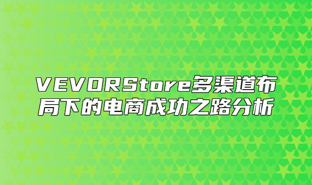 VEVORStore多渠道布局下的电商成功之路分析