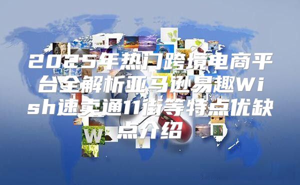 2025年热门跨境电商平台全解析亚马逊易趣Wish速卖通11街等特点优缺点介绍