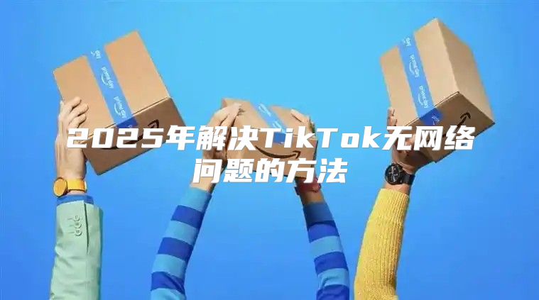 2025年解决TikTok无网络问题的方法