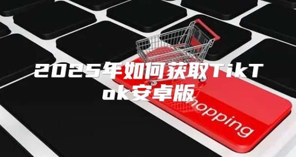 2025年如何获取TikTok安卓版