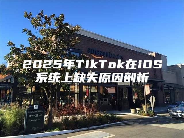 2025年TikTok在iOS系统上缺失原因剖析