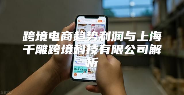 跨境电商趋势利润与上海千雕跨境科技有限公司解析