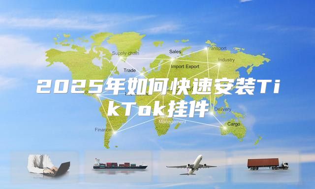 2025年如何快速安装TikTok挂件