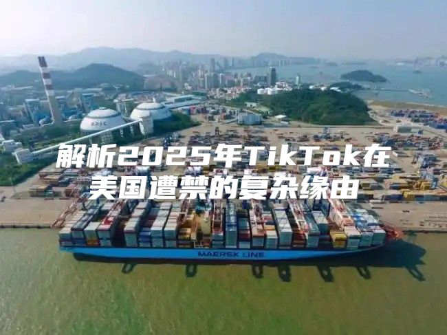 解析2025年TikTok在美国遭禁的复杂缘由