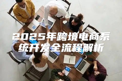 2025年跨境电商系统开发全流程解析