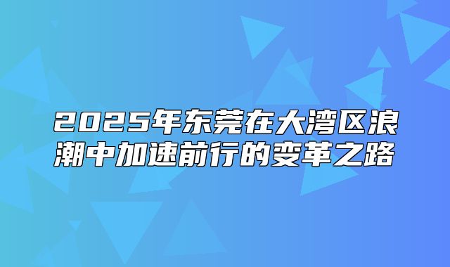 2025年东莞在大湾区浪潮中加速前行的变革之路