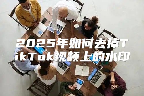 2025年如何去掉TikTok视频上的水印