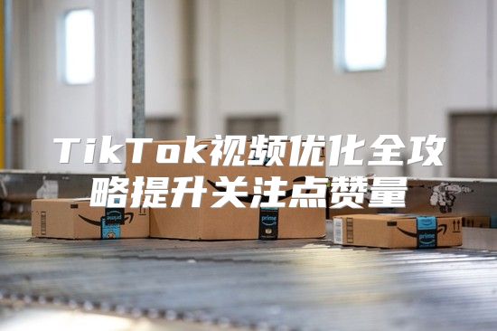 TikTok视频优化全攻略提升关注点赞量