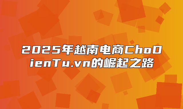 2025年越南电商ChoDienTu.vn的崛起之路