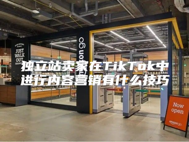 独立站卖家在TikTok中进行内容营销有什么技巧