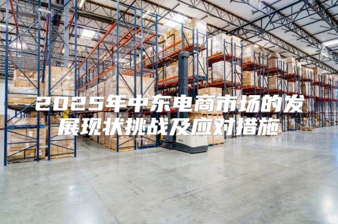 2025年中东电商市场的发展现状挑战及应对措施