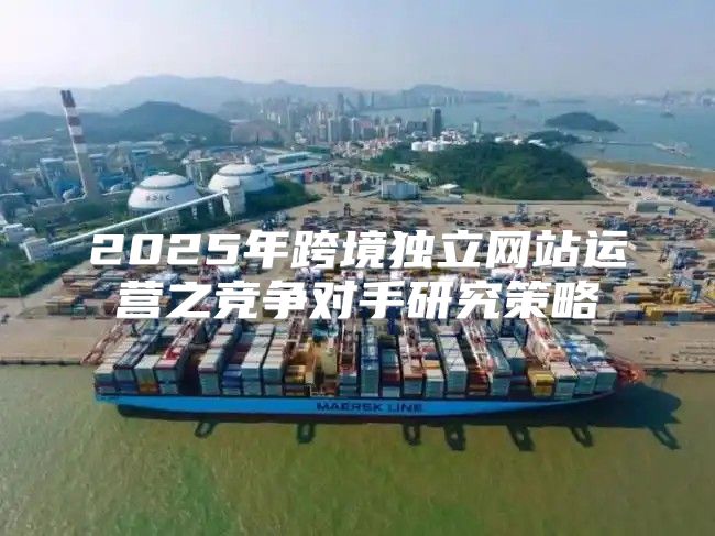 2025年跨境独立网站运营之竞争对手研究策略