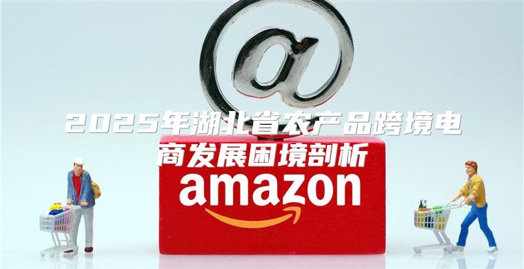 2025年湖北省农产品跨境电商发展困境剖析