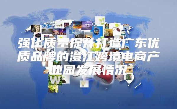 强化质量提升打造广东优质品牌的澄江跨境电商产业园发展情况