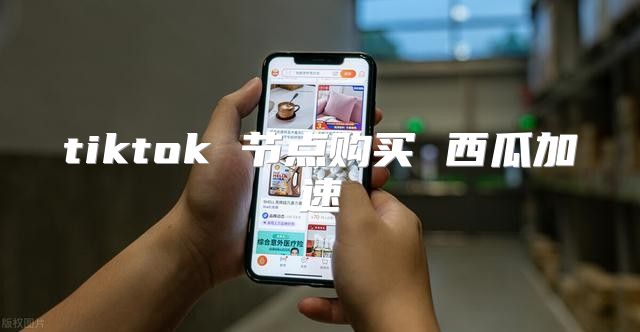tiktok 节点购买 西瓜加速