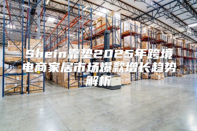 Shein靠垫2025年跨境电商家居市场爆款增长趋势解析
