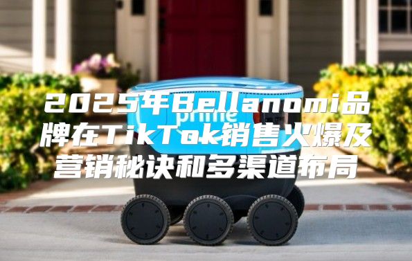 2025年Bellanomi品牌在TikTok销售火爆及营销秘诀和多渠道布局