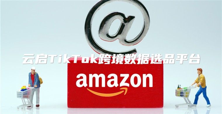 云启TikTok跨境数据选品平台