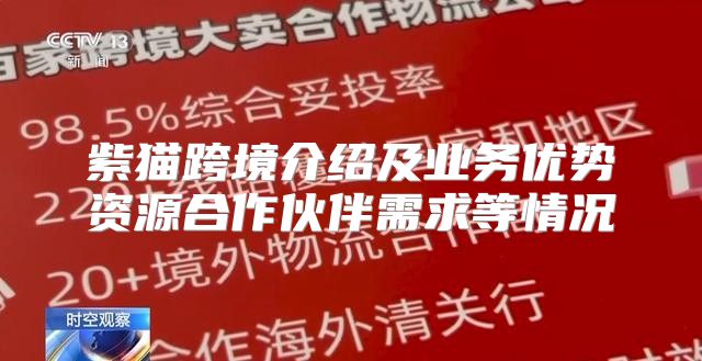 紫猫跨境介绍及业务优势资源合作伙伴需求等情况