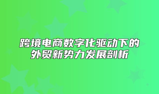 跨境电商数字化驱动下的外贸新势力发展剖析