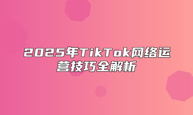 2025年TikTok网络运营技巧全解析