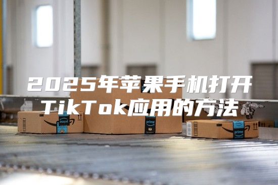 2025年苹果手机打开TikTok应用的方法