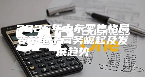 2025年中东零售格局变革电子商务崛起及发展趋势