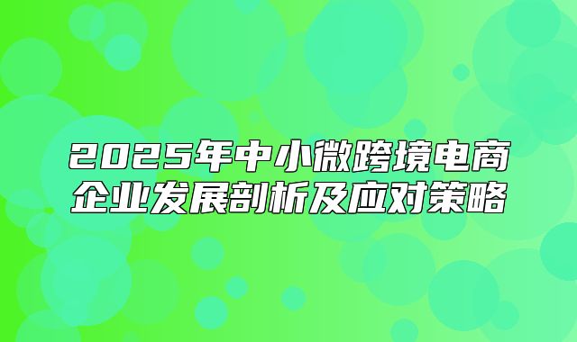 2025年中小微跨境电商企业发展剖析及应对策略