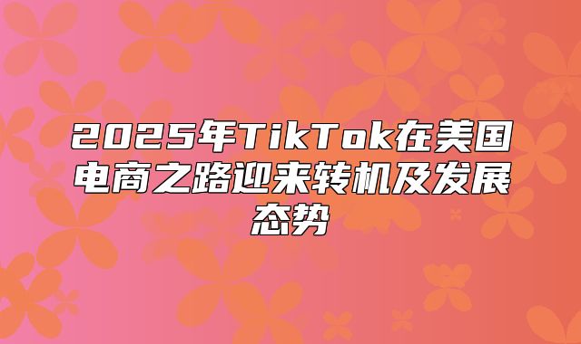 2025年TikTok在美国电商之路迎来转机及发展态势