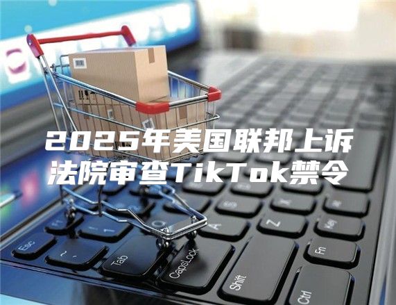 2025年美国联邦上诉法院审查TikTok禁令