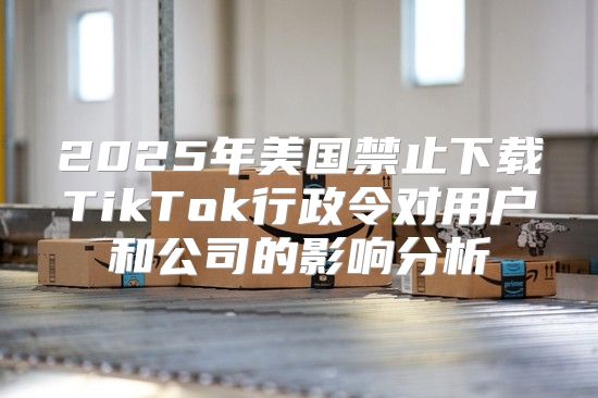 2025年美国禁止下载TikTok行政令对用户和公司的影响分析